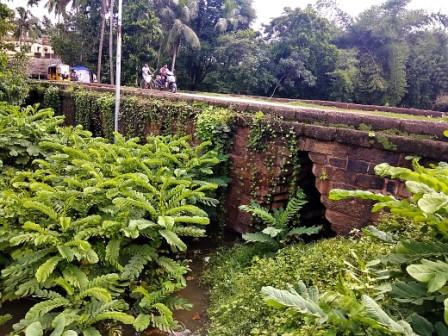 Heritage Bridges of Jagannath Sadak